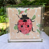 Mini Lady Bug
