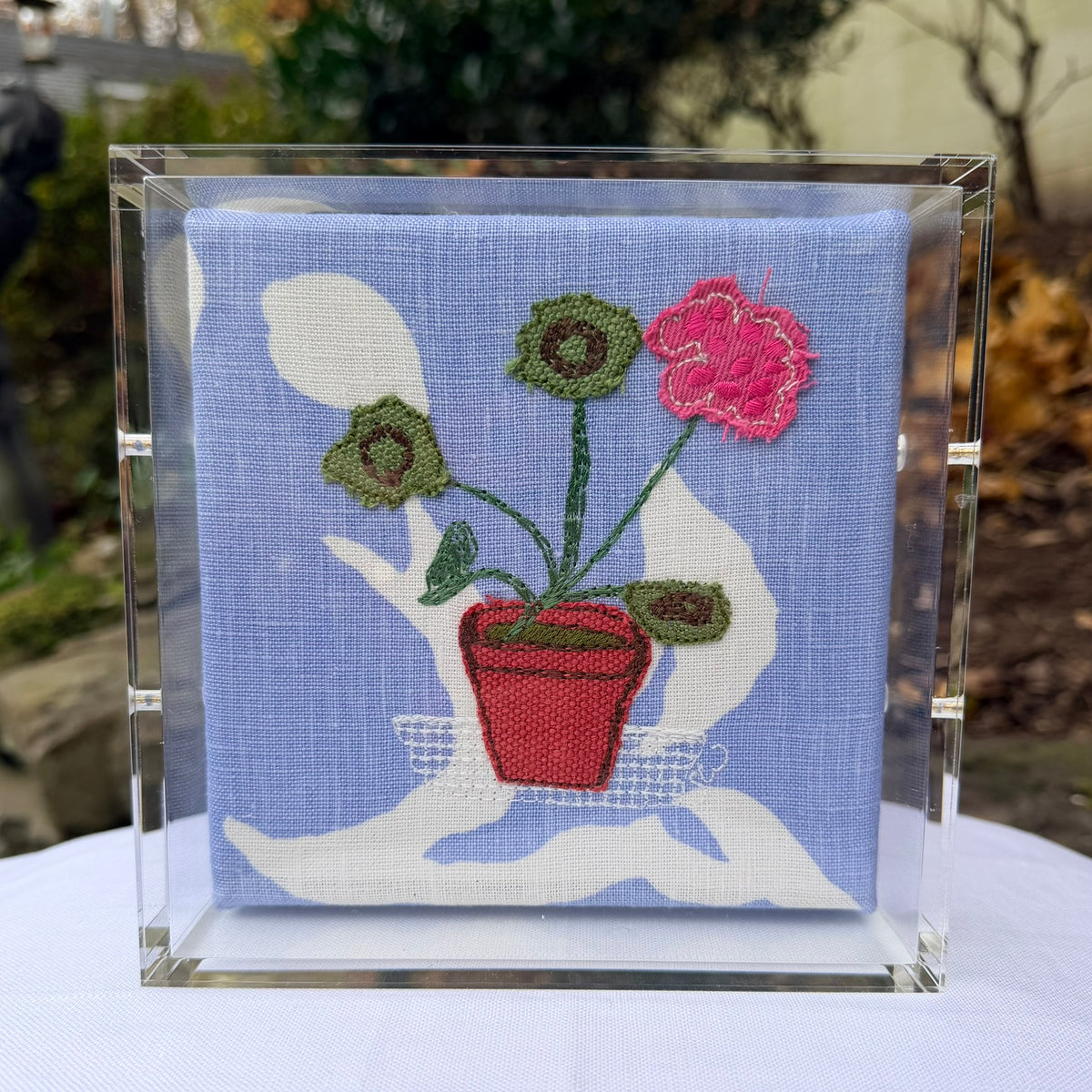 Mini Single Geranium