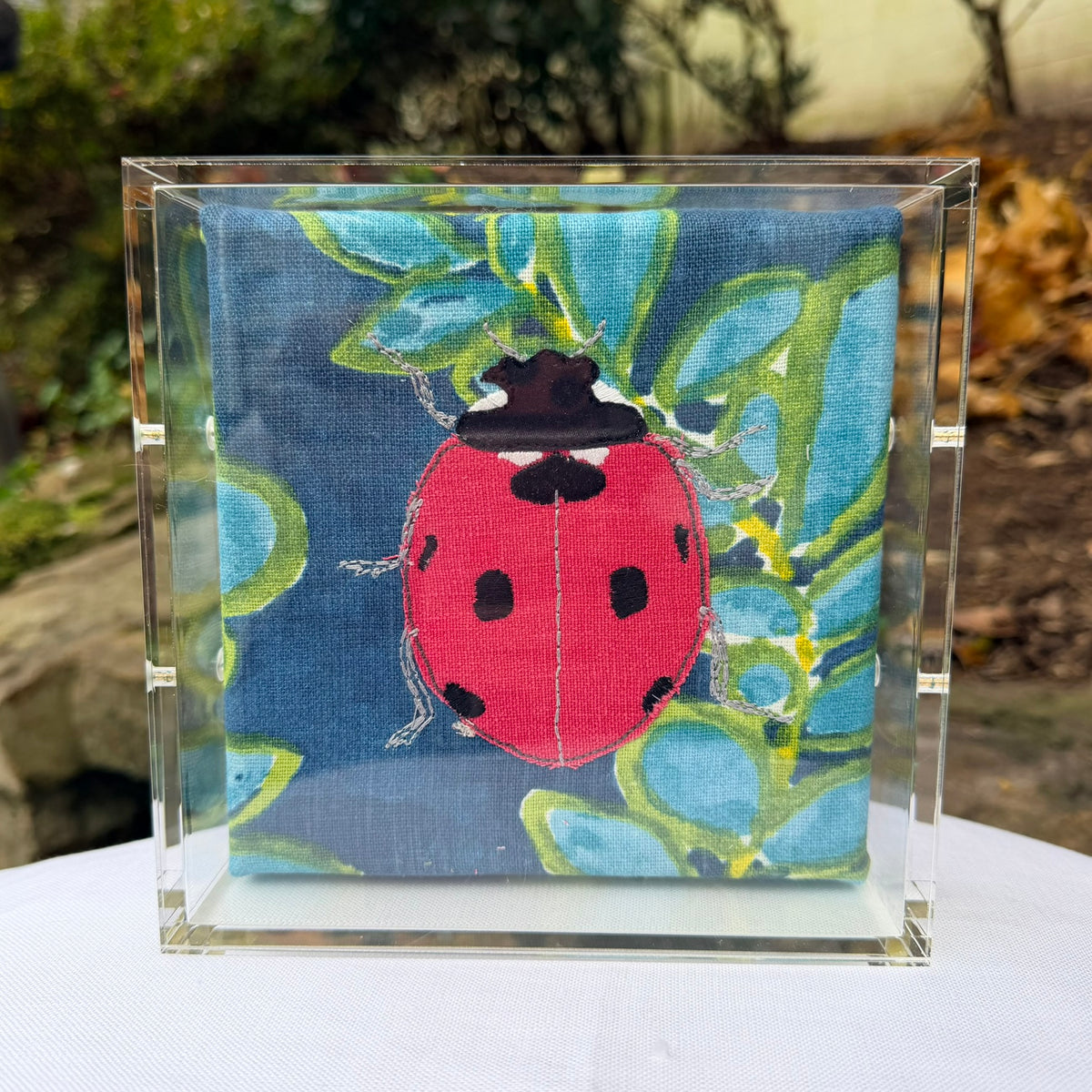 Mini Lady Bug 2
