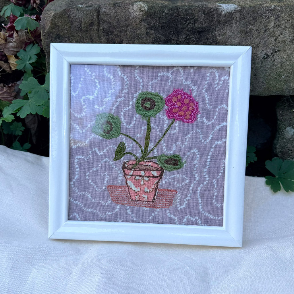 Mini Geraniums on purple