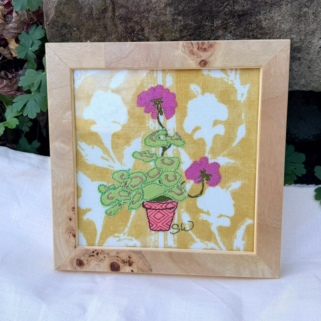 Mini Pink Geraniums on yellow